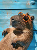Diamond Painting Capybara 20x30 cm rond