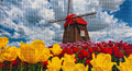 Diamond Painting Molen 30x20 cm | Typisch Hollands cadeau