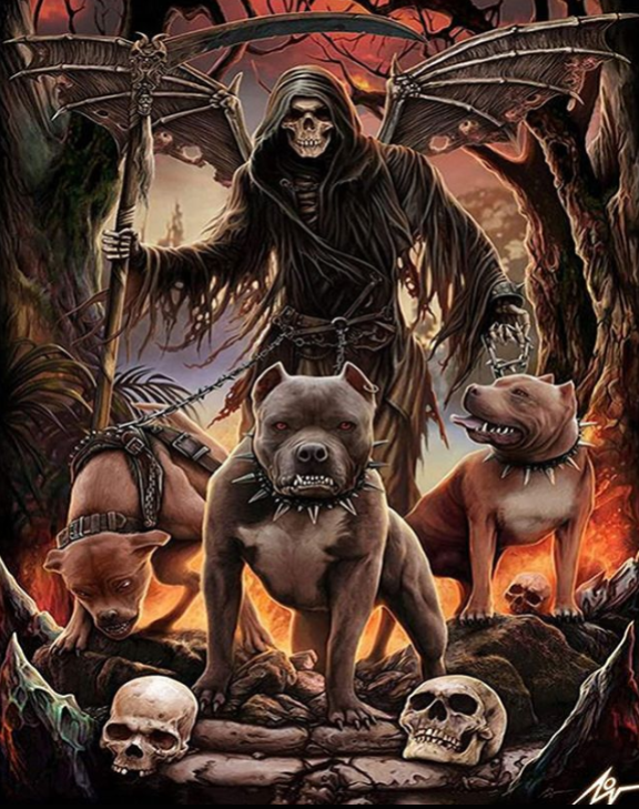 Diamond Painting Reaper 50x40 cm | Donker cadeau voor gothic liefhebbers